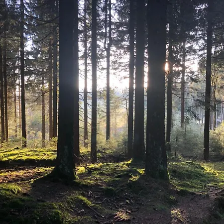 Apartment Zur Alten Fabrik