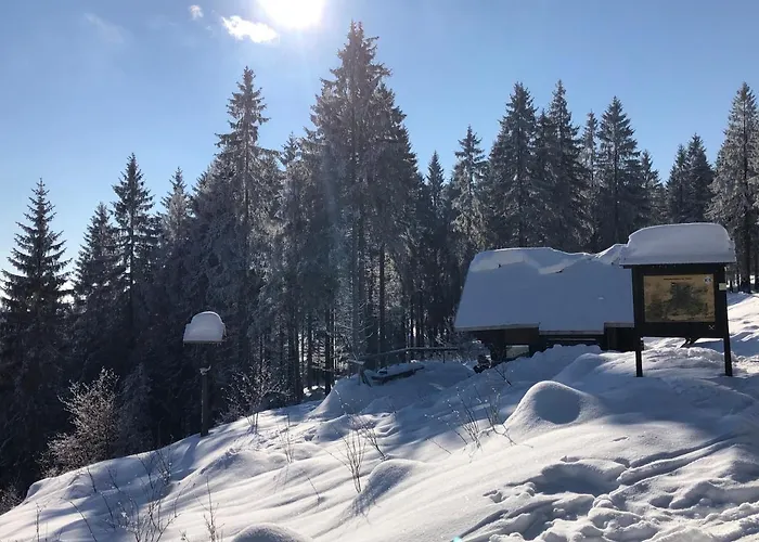 Zur Alten Fabrik Appartement Steinach (Thuringia)