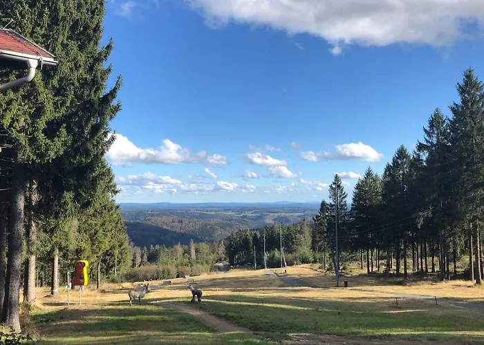 Zur Alten Fabrik * Steinach (Thuringia)
