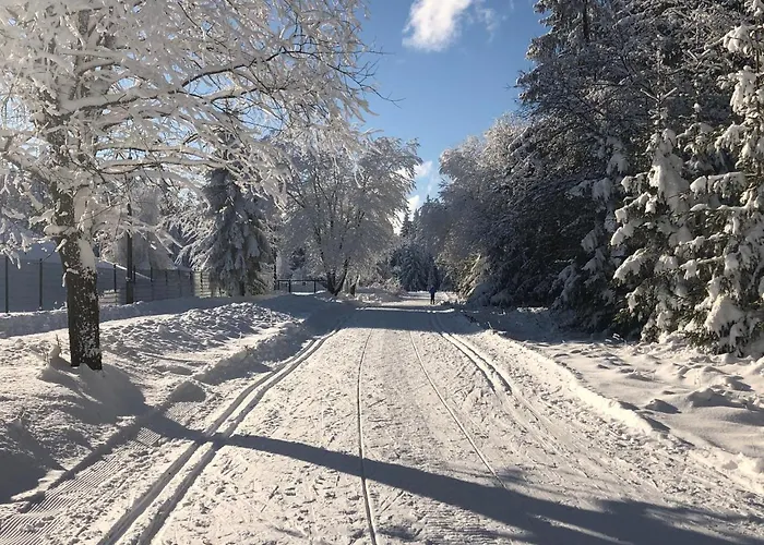 Zur Alten Fabrik Apartment