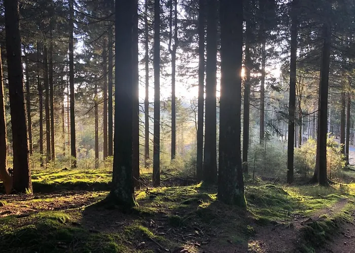 Apartment Zur Alten Fabrik