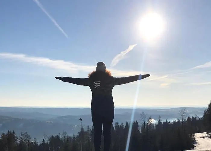 Zur Alten Fabrik Apartment