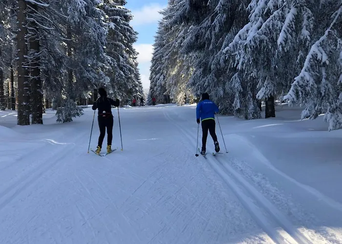 Apartment Zur Alten Fabrik *